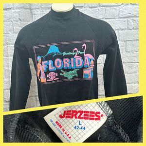 VTG Specs Music And Video Store Florida Sweatshirt Large 42-44 USA 50/50 Records